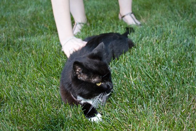 Emma_2008-07-12_0003